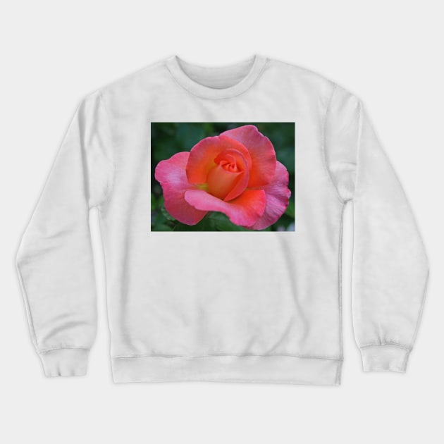 A Rose in June Crewneck Sweatshirt by RedHillDigital